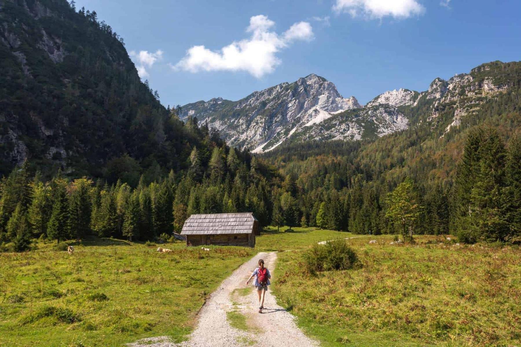 Sunny Retreat Apartment Kranjska Gora Exterior foto
